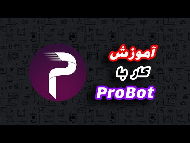 آموزش کار با ProBot | بات همه کاره سرور دیسکورد