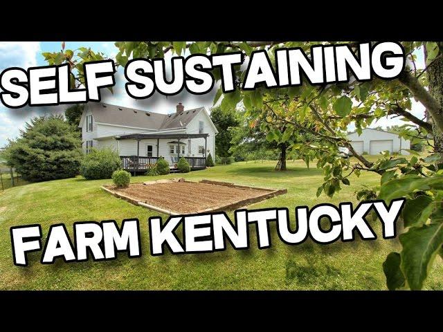 Sustainable Farm in Kentucky, 14+ acres, barn, pond, Cattle land for sale