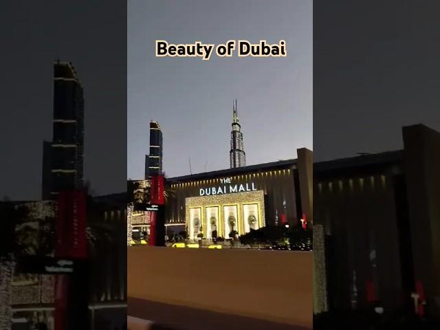 Beauty of Dubai #shorts #dubaibeauty