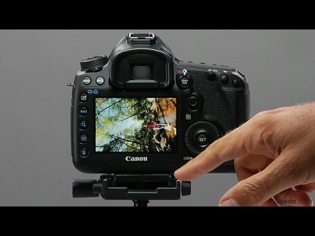 Canon DSLR Tutorial - AF Point Display