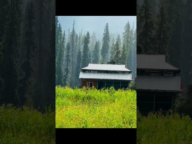 Short #video #kashmir_valley%%#weather#beauti