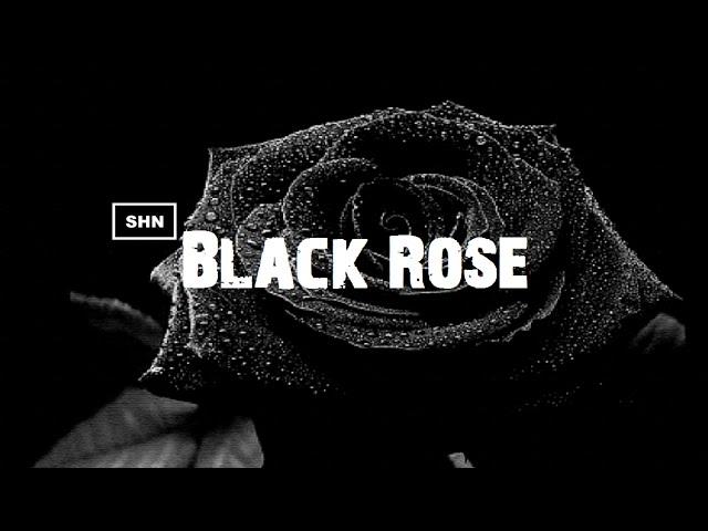 Black Rose Full HD 1080p Longplay Walkthrough Gameplay No Commentary