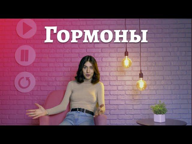 ТрансТреш - Гормоны