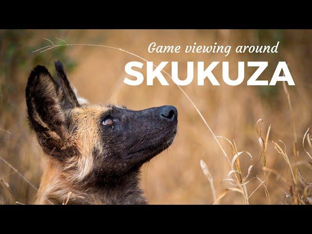GAME VIEWING around SKUKUZA in the Kruger National Park, South Africa