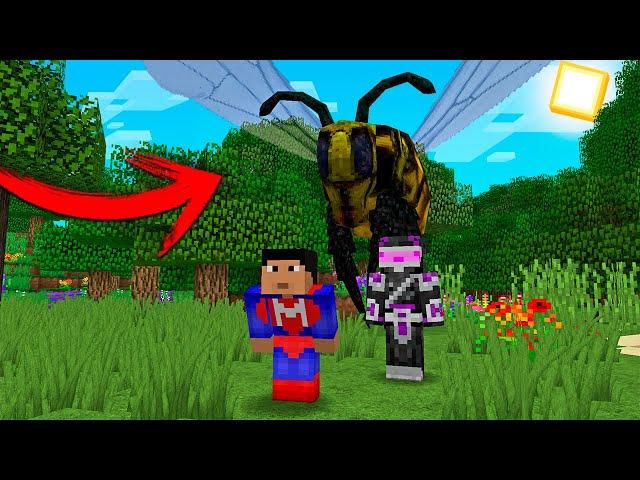 LA REINA DE LAS ABEJAS NOS ATACA EN MINECRAFT TROLL 