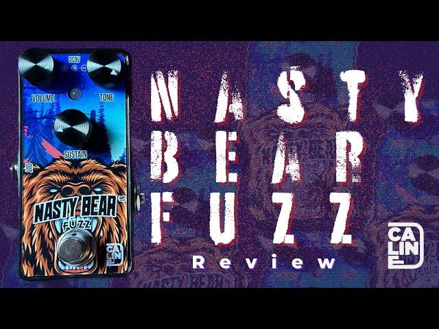 Caline Nasty Bear Fuzz ($40 Amazon Find)