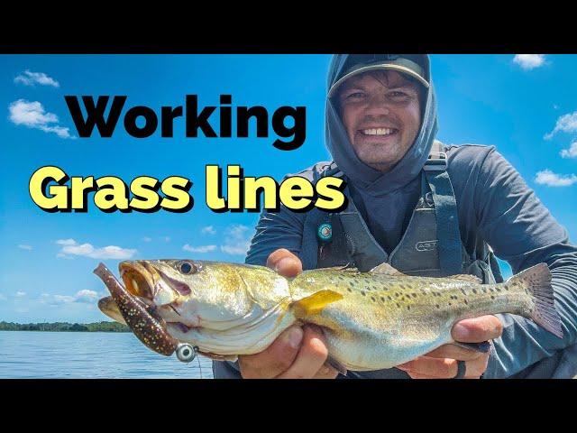 Lowcountry inshore fishing for Redfish and Speckled Trout!