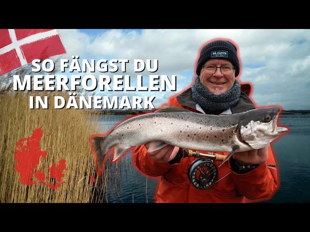 Angeln in Dänemark - So fängst du Meerforellen