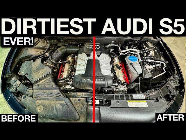 First Wash In 5 Years: Dirtiest Audi S5 Ever Huge Detailing Transformation!