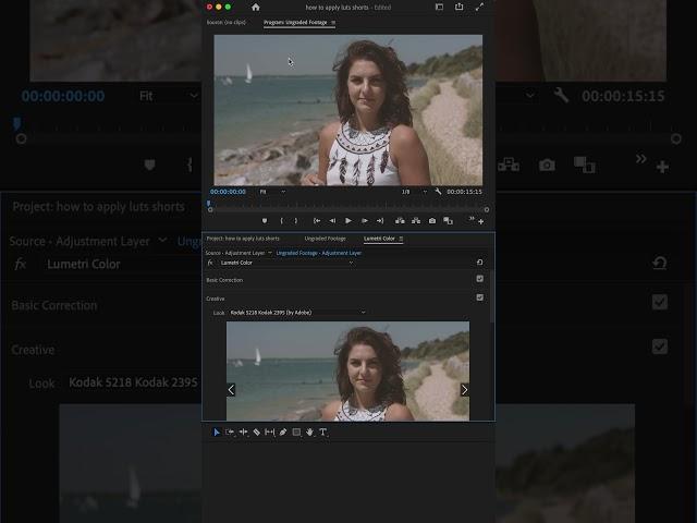 How to use LUTs in Premiere Pro 2023 | Color Grading | Premiere Pro Tutorial (For Beginner)
