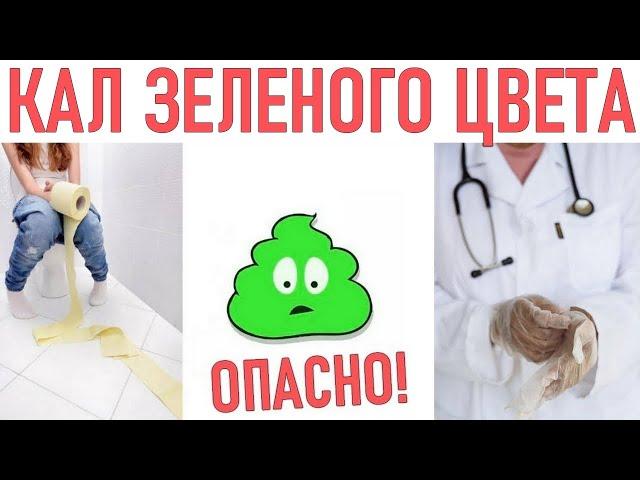 КАЛ ЗЕЛЕНОГО ЦВЕТА | Причины кала зеленого цвета