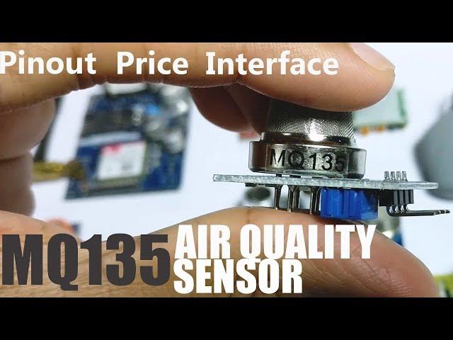 MQ 135 Air Quality Pollution Sensor Working Pinout Price & Projects