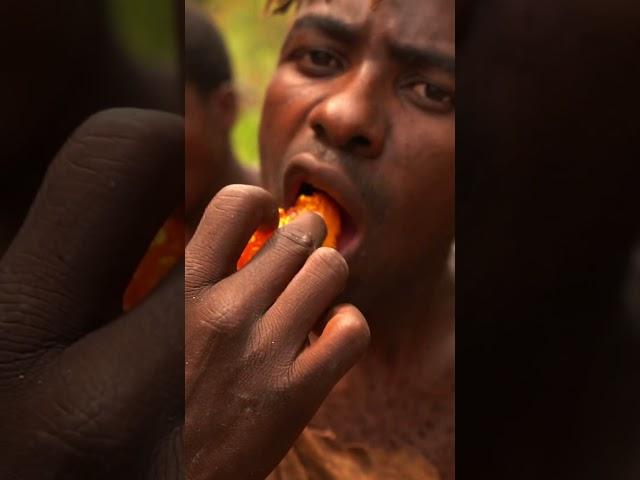 Eating RARE Honey With The Hadza Tribe!