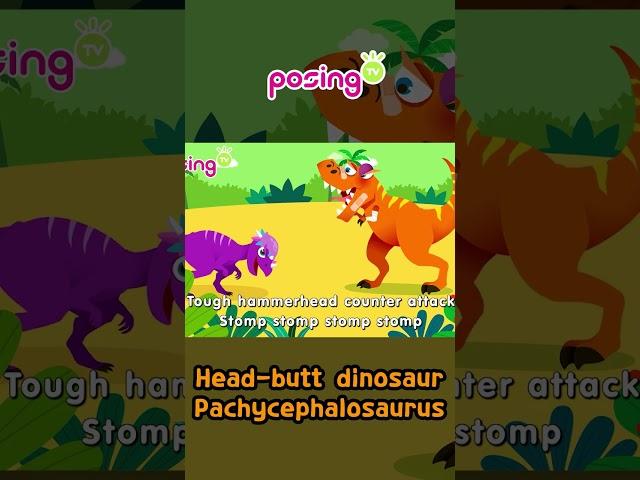 ‍Head-butt dinosaur, Pachycephalosaurus! | Dinosaurus Songs | posingTV #shorts