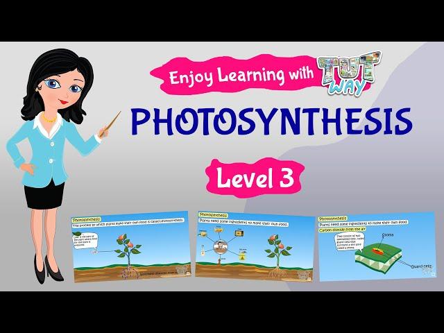 Photosynthesis For Kids | Science | Grade 3 & 4 | Tutway