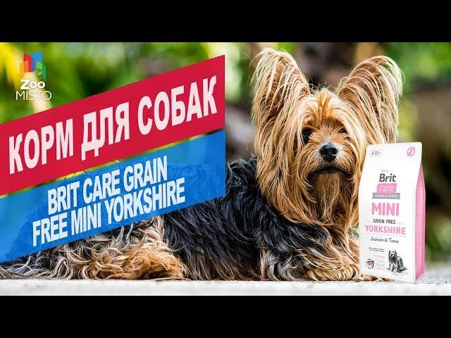 Корм для собак Brit Care Grain Free Mini Yorkshire | Обзор корм для собак Brit Care Grain Free Mini