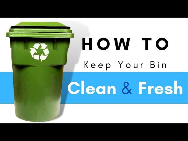 Learn how to keep green bin from smelling & ways to stop food waste at home  with BagEZ