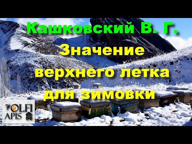 #Кашковский В.Г. Значение верхнего летка для зимовки .