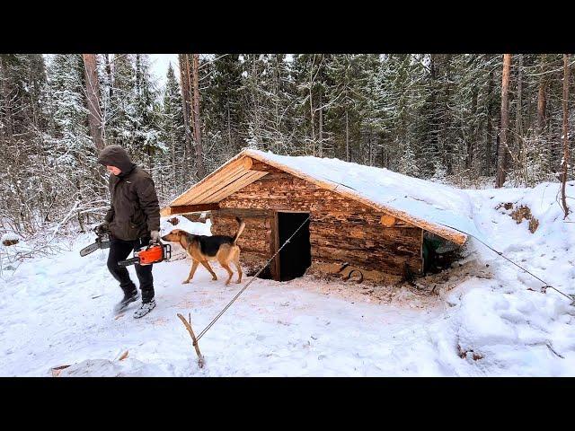Snow camping! We visited a log cabin | Living in a tent with a wood stove | Building a cozy dugout