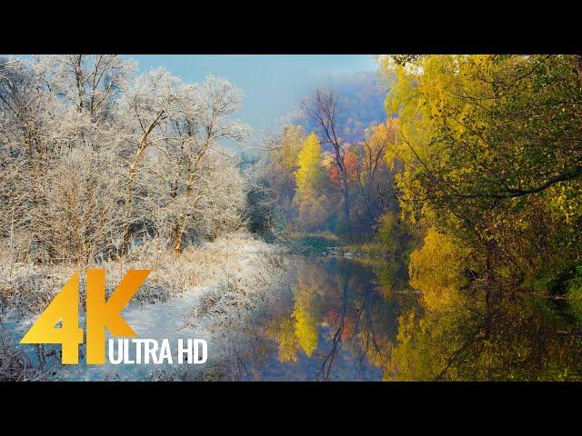 4K Short Cinematic Video - Autumn Gold and Winter Silver - South Ural, Russia