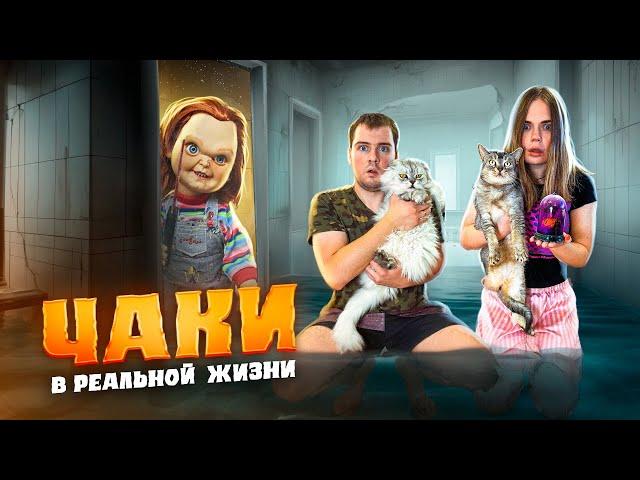 КУКЛА ЧАКИ В РЕАЛЬНОЙ ЖИЗНИ | 24 ЧАСА В ВАННОЙ С КОТАМИ ПЕРЕД ХЕЛЛОУИНОМ