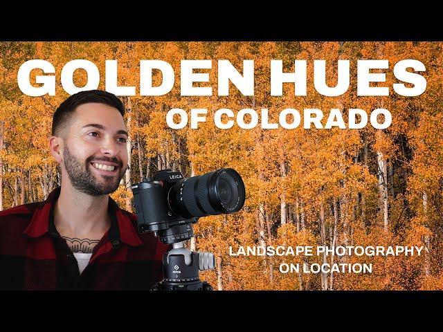 Golden Hues Of Colorado… Chasing Fall Colors And Epic Views | Landscape Photography On Location