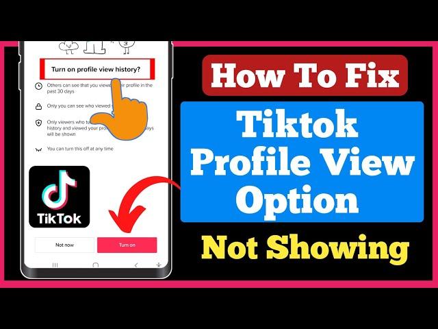 How To Fix TikTok Profile View option Not Showing ( New Features) | Fix TikTok Profile View option