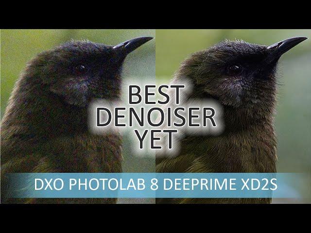 DxO PhotoLab 8 Elite - Noise Reduction Tested and Compared