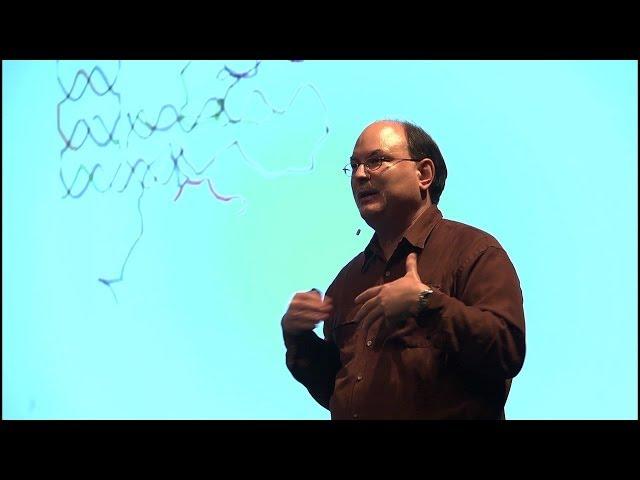 Electron Microscopy and the Art of DNA Sushi | MCubed Symposium 2013