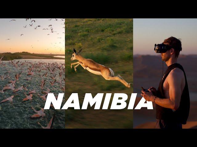 Africa & Wildlife | Cinematic FPV