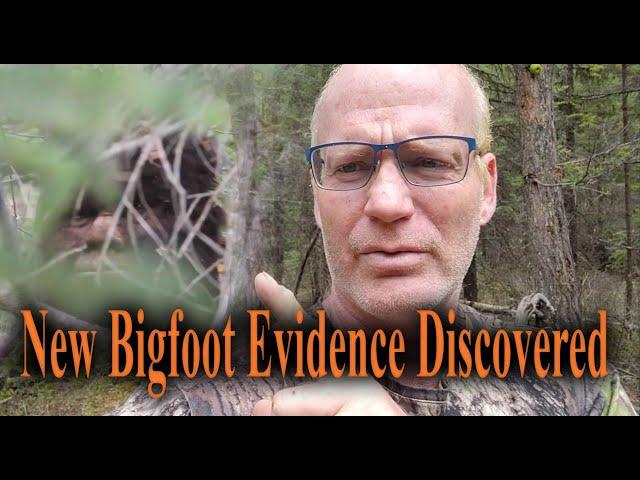 New Bigfoot evidence discovered