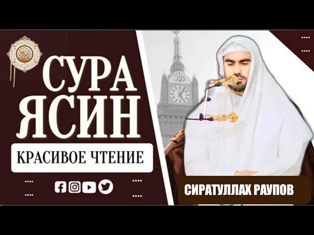 Сиратуллах Раупов Сура Ясин " красивое чтение " слушайте каждый день #Ясин #Yasin