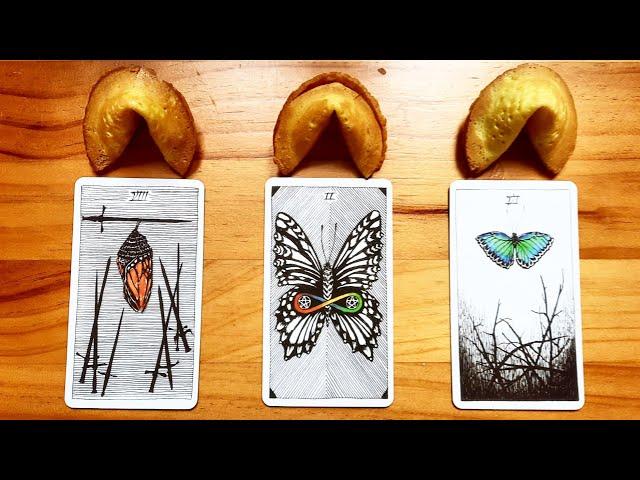 FORTUNE COOKIE MESSAGE!  | Pick a Card Tarot Reading