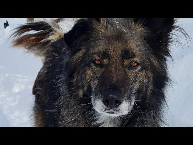 Декабрьский туман, череда неурядиц и оптимистичный вечер