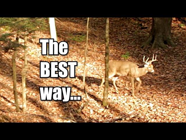 The BEST methods to use when hunting with a CROSSBOW!