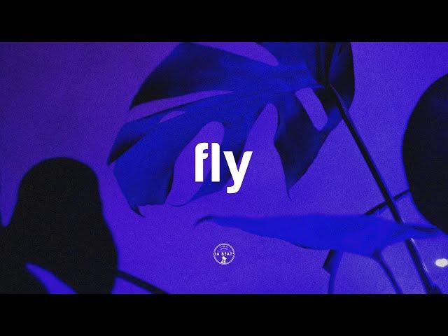  (free) CALVIN HARRIS x DEEP HOUSE TYPE BEAT 2021 - fly | Bouncy Piano Pop House Instrumental