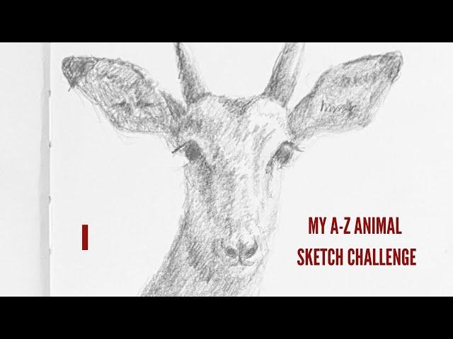 Weekly sketch challenge A-Z African animals. Week 9, letter I