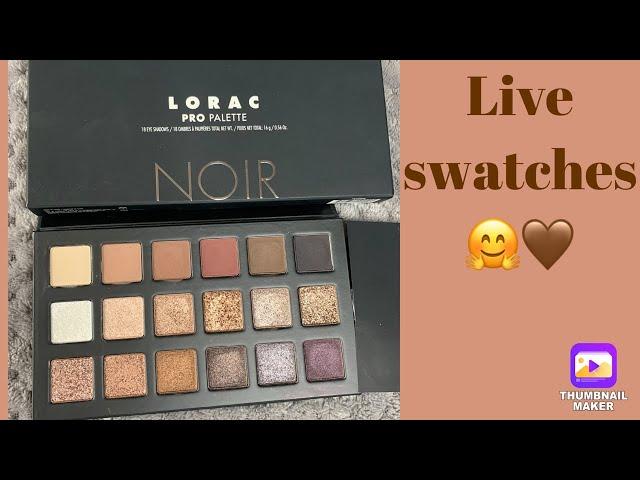 New Lorac Pro Palettes NOIR || Live Swatches