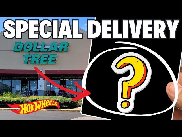 I DELIVERED HOT WHEELS TO DOLLAR TREE!