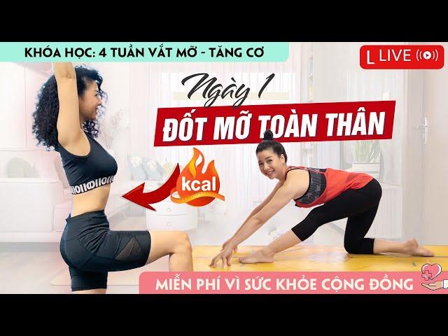 Bài 1: 4 TUẦN VẮT MỠ TĂNG CƠ _ Đốt mỡ toàn thân / Nguyễn Hiếu Yoga