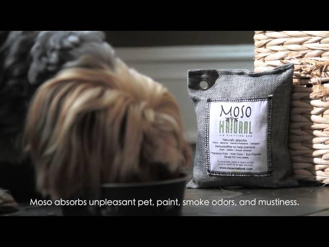 Moso Natural Air Purifying Bag Introduction