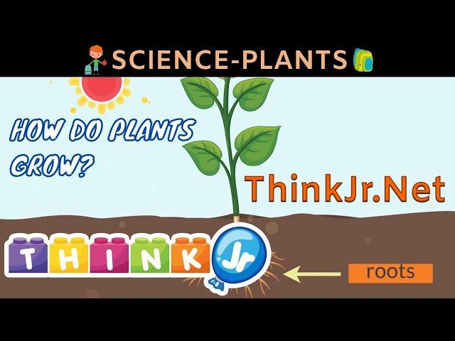 How do Plants grow | Science for Kids | ThinkJr Creations