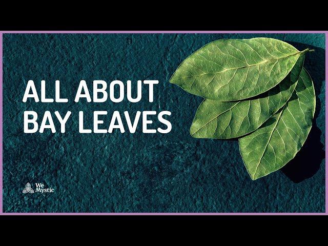 Bay Leaves: an ancient herb with strong powers