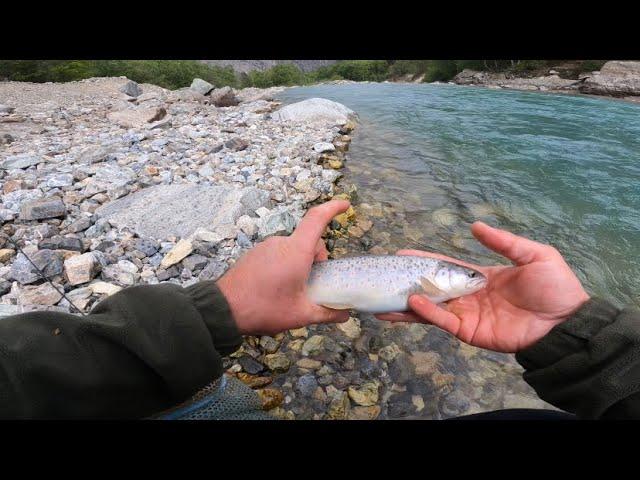 Ловля форели в бурных реках Кавказа #trout_fishing #кбр #fishing #форель