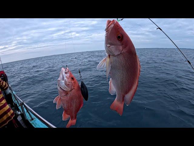 Pesta strike!!! Mancing di rumpon kakap merah laut berakit bintan|| part 2