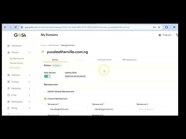 How to Update Domain Nameservers via Go54 Dashboard