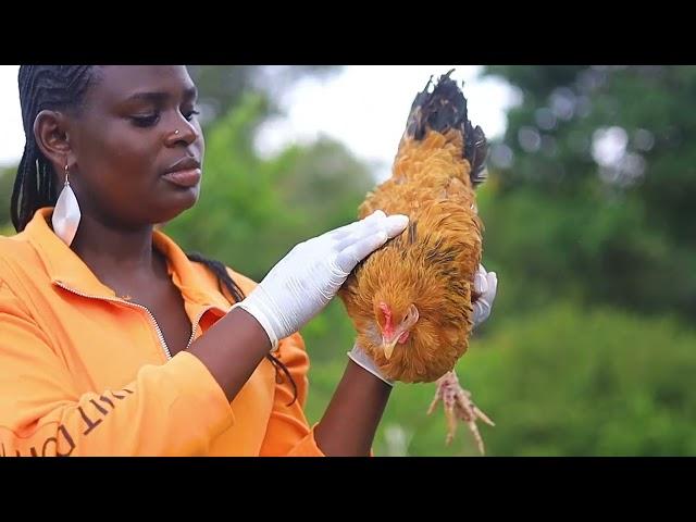 How to prepare chicken in african village life