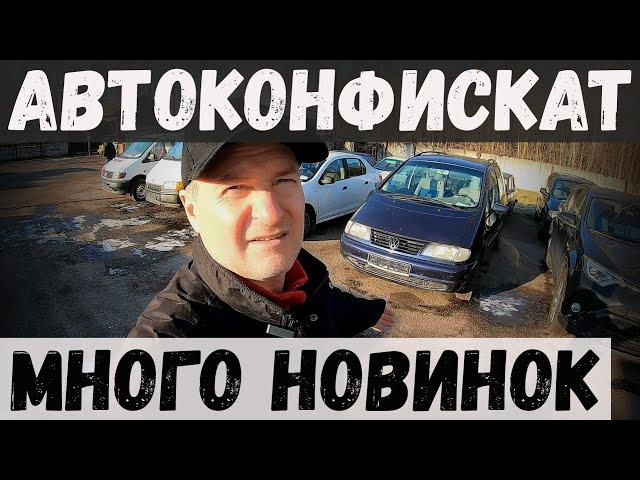 МНОГО НОВИНОК в КОНФИСКАТЕ, ХОРОШАЯ ТОЙОТА, VW ШАРАН и РЕНО ЛОГАН, ВСЕХ с НАСТУПАЮЩИМ НОВЫМ ГОДОМ!