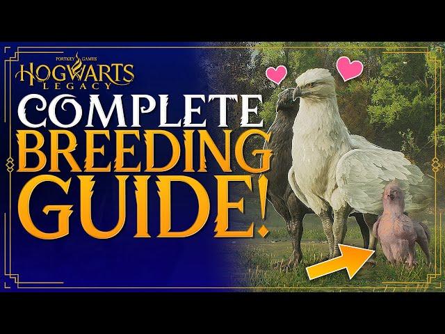 Hogwarts Legacy Complete Breeding Guide - How To Breed Beasts  / Tames - How To Unlock Breeding
