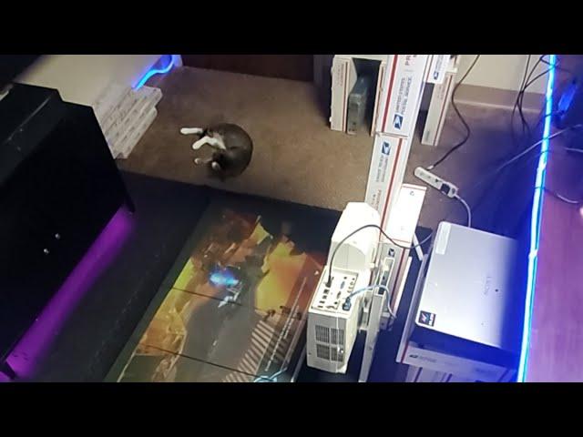 Floor gaming demonstration with $60 ust